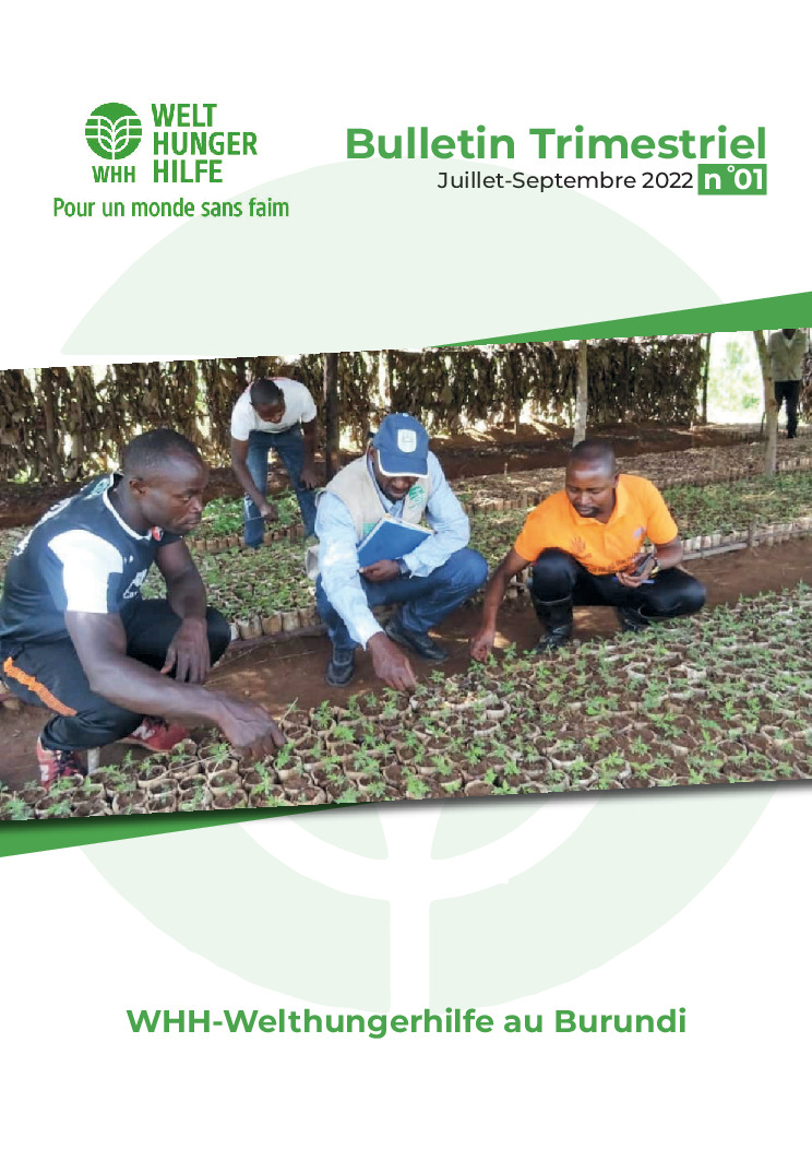 thumbnail of Bulletin trimestriel N°1